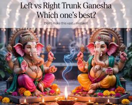 Ganesha Trunk Which Side is good for Home. Right or Left side Meaning